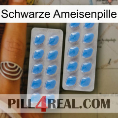 Black Ant Pill 23